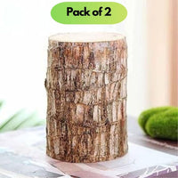 Brazilian Lucky Wood, Mini Home Plant Decorations (Pack of 2)